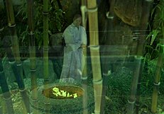 Beauty blonde milf fucked in outdoor