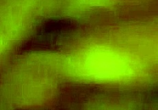 Fingering my girl's clit while she masturbates