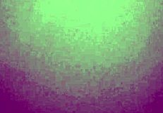 Moans Echo in the Hotel Room