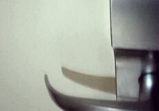 Moans Echo in the Hotel Room