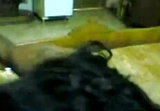 round ass amateur couple webcam blowjob cumshot facial