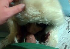 Blowjob Fetish Compilation While Wearing Sexy Clothes