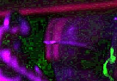 Gypsy Queen - Obedient Bride Bound and Dominated