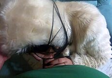 Blowjob Fetish Compilation While Wearing Sexy Clothes