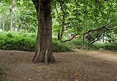 Clapham Common Cruising Trails - June 2025 Public Outdoor Adventures?