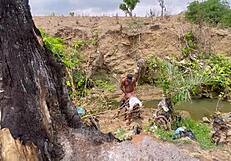 outdoor ass worship where a bitch gets dicked