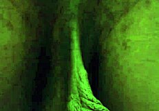 Hallelujah Johnson thinks about that ass worship and subscribes to my channel