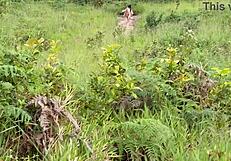 We climb the mountain and I fuck my guide outdoors