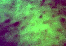 Closeup of Wife in Amateur Scene