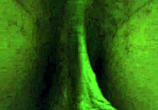 Hallelujah Johnson thinks about that ass worship and subscribes to my channel