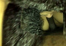 Dick Sucking BBW Fat Cock