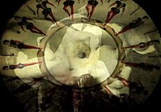 I remember admiring vintage art pieces from the antique era