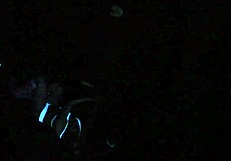 Scarlett Johnson in blacklight sex POV scene