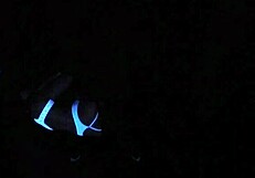 Scarlett Johnson in blacklight sex POV scene