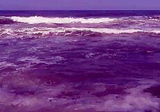 beach vacation part 1 with couple fun