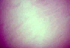 Bbw Takes Big Dildo and Fucks Herself Hard