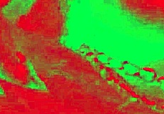 Caroleta Roots Faz Menage e Fica Com Tanto Tesão Que Libera o Seu Cuzinho Apertadinho Loupan Produções Neto Psy Vídeo Completo no Red