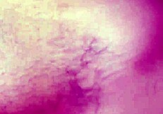 Trim D3f17b7e-860f-477b-86c4-64f20ccf6b55 Mov