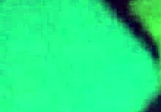 took my half-sister to the beach and fucked her virgin pussy in public she lost it all