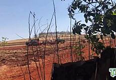 hey those sugarcane workers took my wife's ass last night