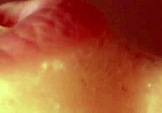 i love recording our closeup blonde teen creampie with monster cock filling her tight pussy