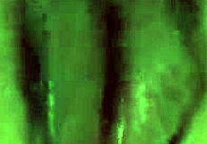 japanese milf mommy threesome with two shaved teen 18+ gaping anal pussy fuck