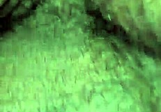 Mature Latina Milf Hardcore Doggystyle Young Stud