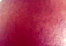 Monster cock pounds my hairy ebony wife's fat chubby ass and pussy hard