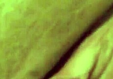 Bending over she takes his huge cock deep after warming up with toys