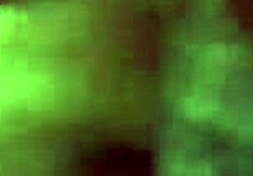 blindfolded white girl handcuffed sucking old masked cock