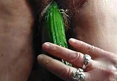 granny teases her hairy old pussy with a thick cucumber insertion
