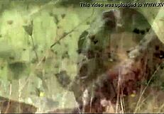 Peek behind scenes with french shemale andreia vargas crossdressing escort glamour 2007