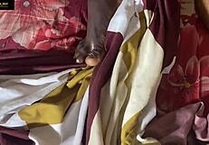 stepbrother pounds me doggy so passionate I cum screaming loud!