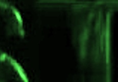 huge cock ravages gaping teen ass in wild college dorm fuck frenzy!