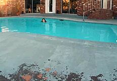 i watched that pool slut deepthroat my throbbing cock till cumshot on her tits