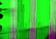 beautiful latina stepsis mary rides shazam cock swallows cum cosplay