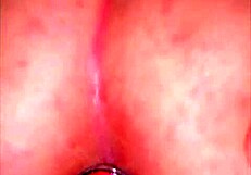 meu meio primo pulls my pink plug to fill ass with cum deposit