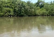 Fishing Adventure in Tiny Short Shorts USA