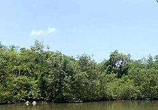 Fishing Adventure in Tiny Short Shorts USA