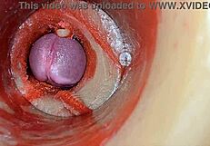 Huge Ejaculation Floods Deep Inside - Internal Camera Catches Every Creampie Drop!