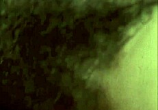 Victorian Gentleman Confesses Hairy Pussy Fucks in Retro Erotica