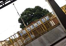 gostosa rebolando no onibus candid big ass view