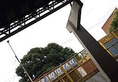 gostosa rebolando no onibus candid big ass view