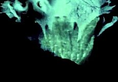 what secrets hide in vintage interracial hairy asian blowjob wonders?