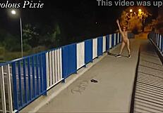 strangers catch horny milfs flashing tits pussy public train toilet
