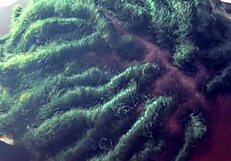 damn big daddy chevy impala slurps that bbc deep then rides it sloppy add snapchat biiggdaddyy94