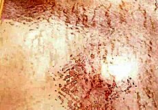 Kokoro's Big Ass Nude Shower Voyeur Close-Up in Bathroom