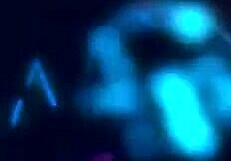 he called me for fruit but ate my pussy in forest