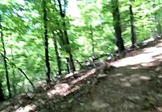 clitlicker662 flashes hairy pussy outdoors in forest voyeur update