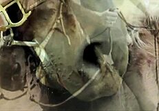 vintage hairy pussy pounded outdoors retro style